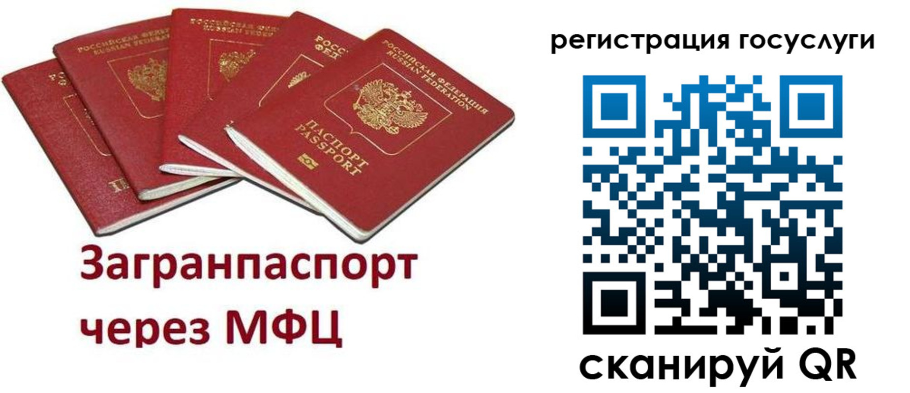 прописка 2025 в Сальске